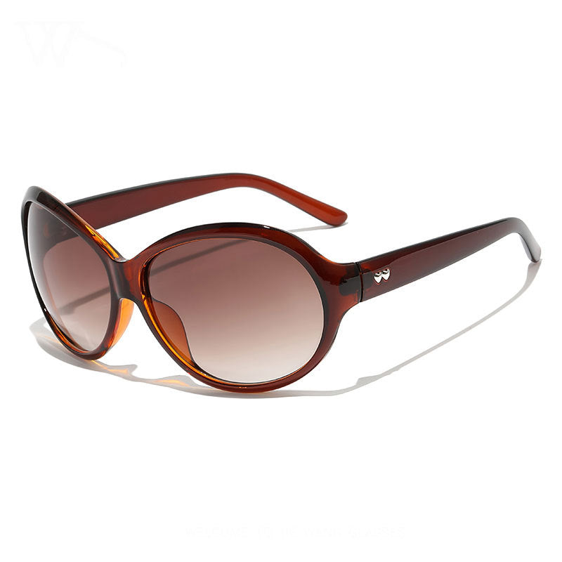 Large Oval Sunglasses for Women UV Protection